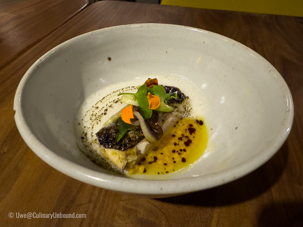 Lake trout grilled on the skin with pumpkin vinaigrette, seed oil and bitter salads