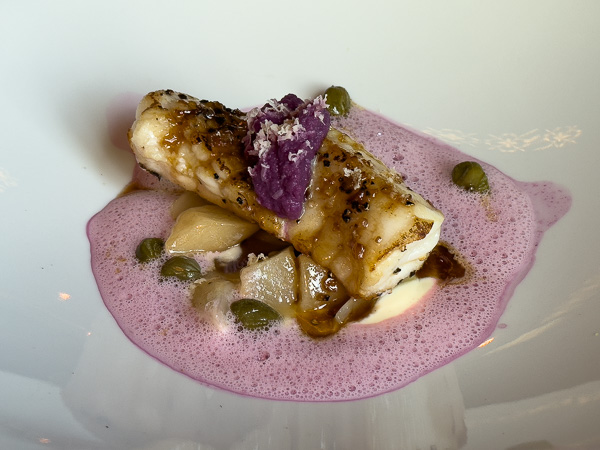 Breton monkfish, caramelized black salsify, capers, red cabbage jus, and potato mesh