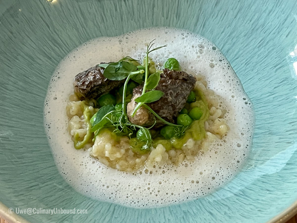 Morille's farcies - pearl barley, green peas, vin jaune